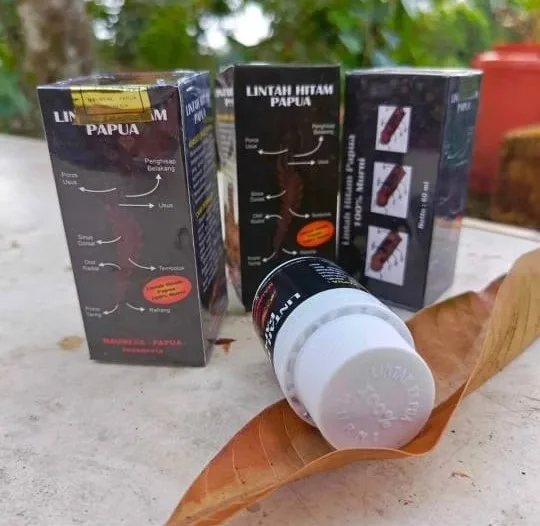 Logo Lintah Papua Asli